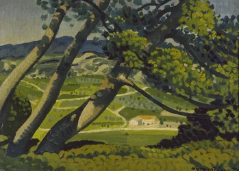 木、プロヴァンス、1912